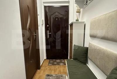 Apartament cu 2 camere semidecomandat în Dâmbu Pietros - 6