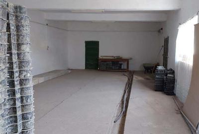 Spațiu comercial, de 500 mp, în Acâș - 4