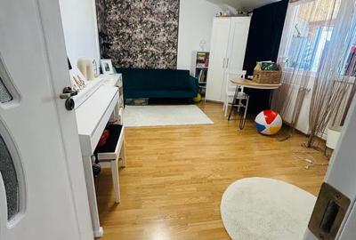 Apartament 2 camere Nicolina-Belvedere, mobilat si utilat Apartament 2 camere Nicolina-Belvedere, mobilat si utilat - 3