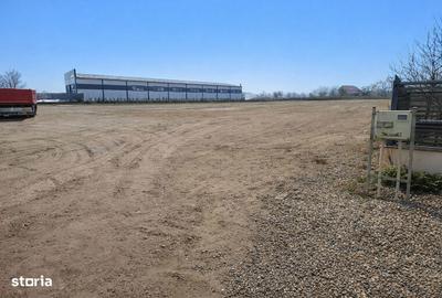 Teren de 4000 mp, în Letea Veche