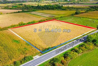 Teren de 11400 mp, în Finteușu Mare - 1