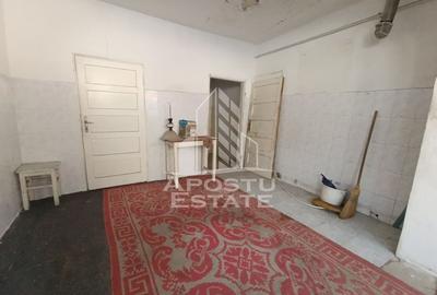 Casa individuala cu teren generos 2158mp, front 12m, livada, Freidorf - 21