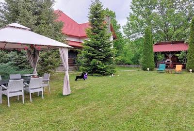 Casă cu 4 camere cu Teren 6000 Mp în Cornu - 9