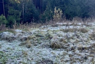 Teren de 19984 mp, în Mănăstirea Humorului - 5