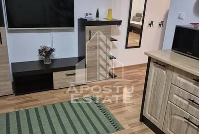Apartament cu 2 camere decomandat, mobilat în Șagului