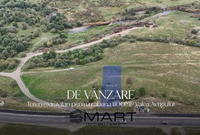 Teren Construcții extravilan de 1115 mp, în Avrig - 1
