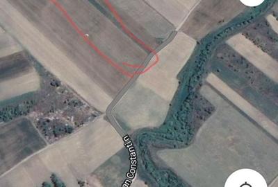 Spațiu comercial, în Bogza - 1