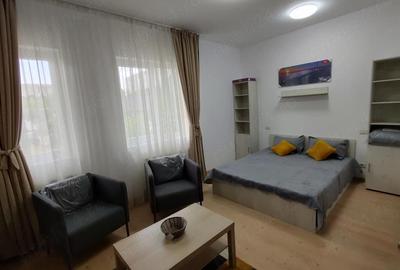 Garsonieră semidecomandată în Doamna Ghica - 6