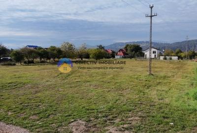 Teren de vanzare 1800 mp – Dumbrava Rosie - 8