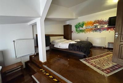 Inchiriere pensiune | Baneasa - Phoenicia | - 13