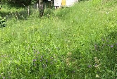 Teren de 1000 mp, în Băbana - 4