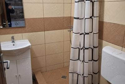 Garsonieră nedecomandată în Buziașului - 2