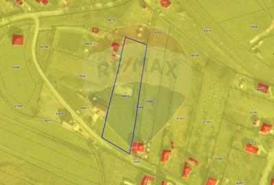 Teren Construcții intravilan de 3591 mp, în Aghireșu-Fabrici - 10