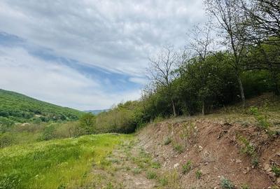 Spațiu comercial, în Ampoița - 4