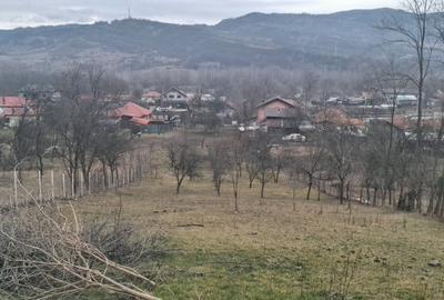 Teren de 1416 mp, în Exterior Vest - 1