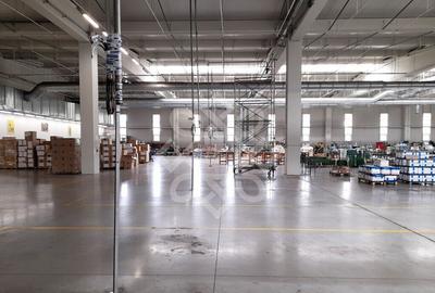 Hala industriala 4700 mp de inchiriat in Oradea - 2