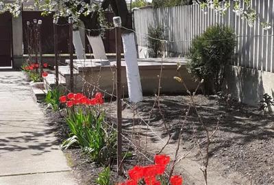 Casa solida, spa?ioasa ?i versatila in zona centrala, Sannicolau Mare - 8