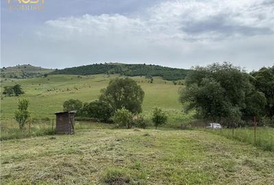 Teren Construcții intravilan de 1000 mp, în Sălicea