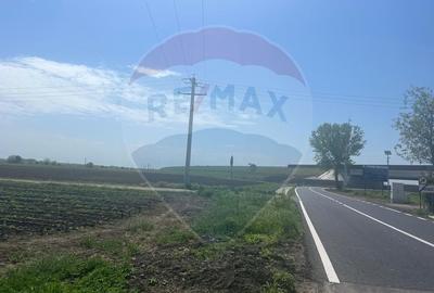 Teren Construcții intravilan de 6084 mp, în Jorăști - 4