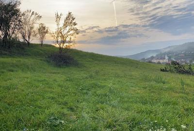 Teren intravilan de vanzare - ideal pentru construc?ia casei tale! - 3