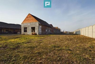 Teren ?i hale pe Calea Aradului din Periam - 8