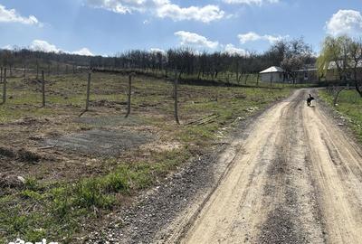 Teren de 700 mp, în Tomești - 5
