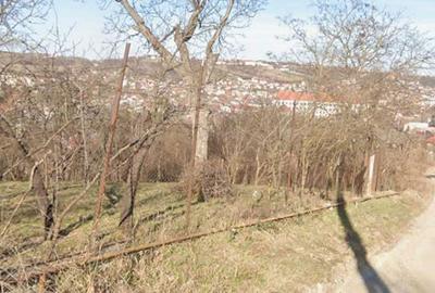 Teren de 1000 mp, în Exterior Vest - 1