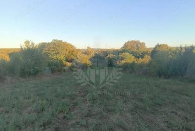 Teren de 3017 mp, în Plopu - 3