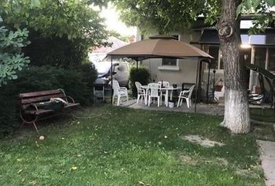 Teren cu iesire la lac si casa in stil brancovenesc - 12