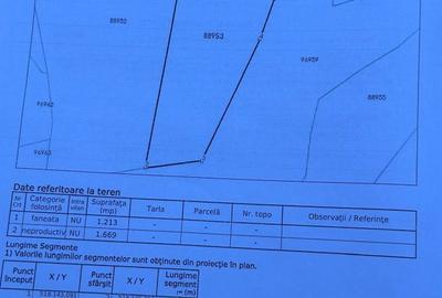 Teren de 2882 mp, în Dâmbovicioara - 6