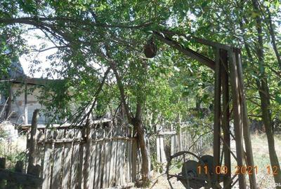 Casa taraneasca si teren comuna Murgasi sat Balota de Jos DJ - 2