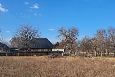 Casă cu 3 camere în Bilca - 6