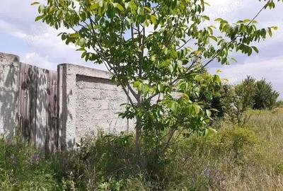 Teren de 1400 mp, în Dragomirești-Vale