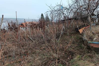 Spatiu Comercial cu spatiu de locuit si teren central - 13