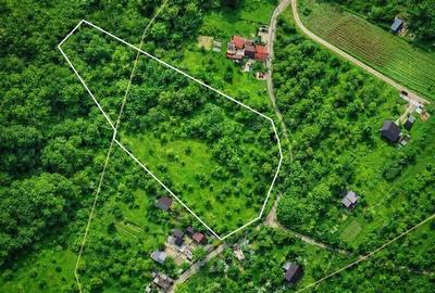 11.600mp teren, partial extravilan,Valea Mare Pravat, 2 km de Campulung Muscel - 1