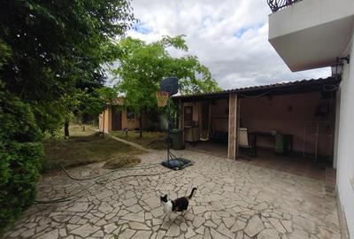 Exclusiv Vanzare Vila Ovidiu compartimentare inteligenta - 2