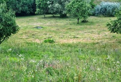 Teren de 5700 mp, în Central - 1