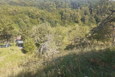 Teren de 6470 mp, în Nădrag - 2