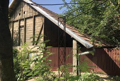 Casă cu 8 camere în Grojdibodu - 11