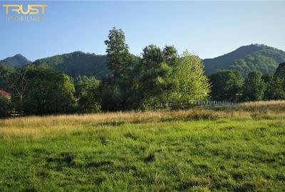 Teren intravilan Bistrita Birgaului, schimb cu apartament - 10