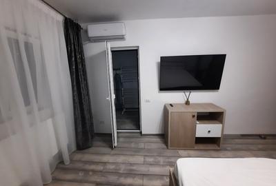 Închiriere garsoniera decomandata Drumul Taberei - 7