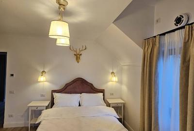 Vand pensiune Cacica-Suceava - 6