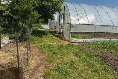 Casă cu 3 camere cu Teren 4000 Mp în Letca Nouă - 16