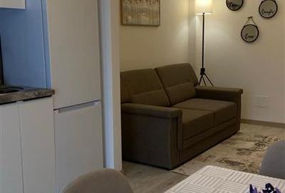 Apartament cu 2 camere semidecomandat în Bucium - 2