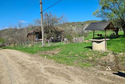 Teren de 5407 mp, în Valea Mică - 1