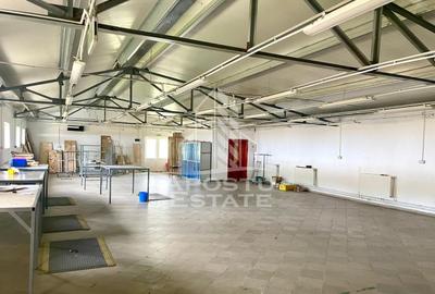 Spatii productie si depozitare, zona Sebis - Prunisor-Carand - 13