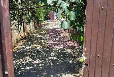 Movilita - vanzare casa 5 cam plus livada pe rod si teren 1800 mp - 5