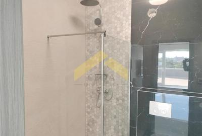 Penthouse 2 camere de inchiriat zona Micalaca - 3