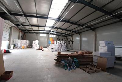 Pantelimon,Biruintei, Bucuresti - 3