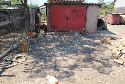 Casă cu 4 camere în Central - 18